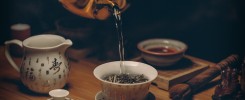 What Happens to Your Body When You Start Drinking Green Tea?