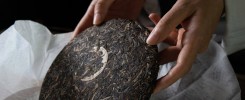 Is Puer Tea Psychoactive?